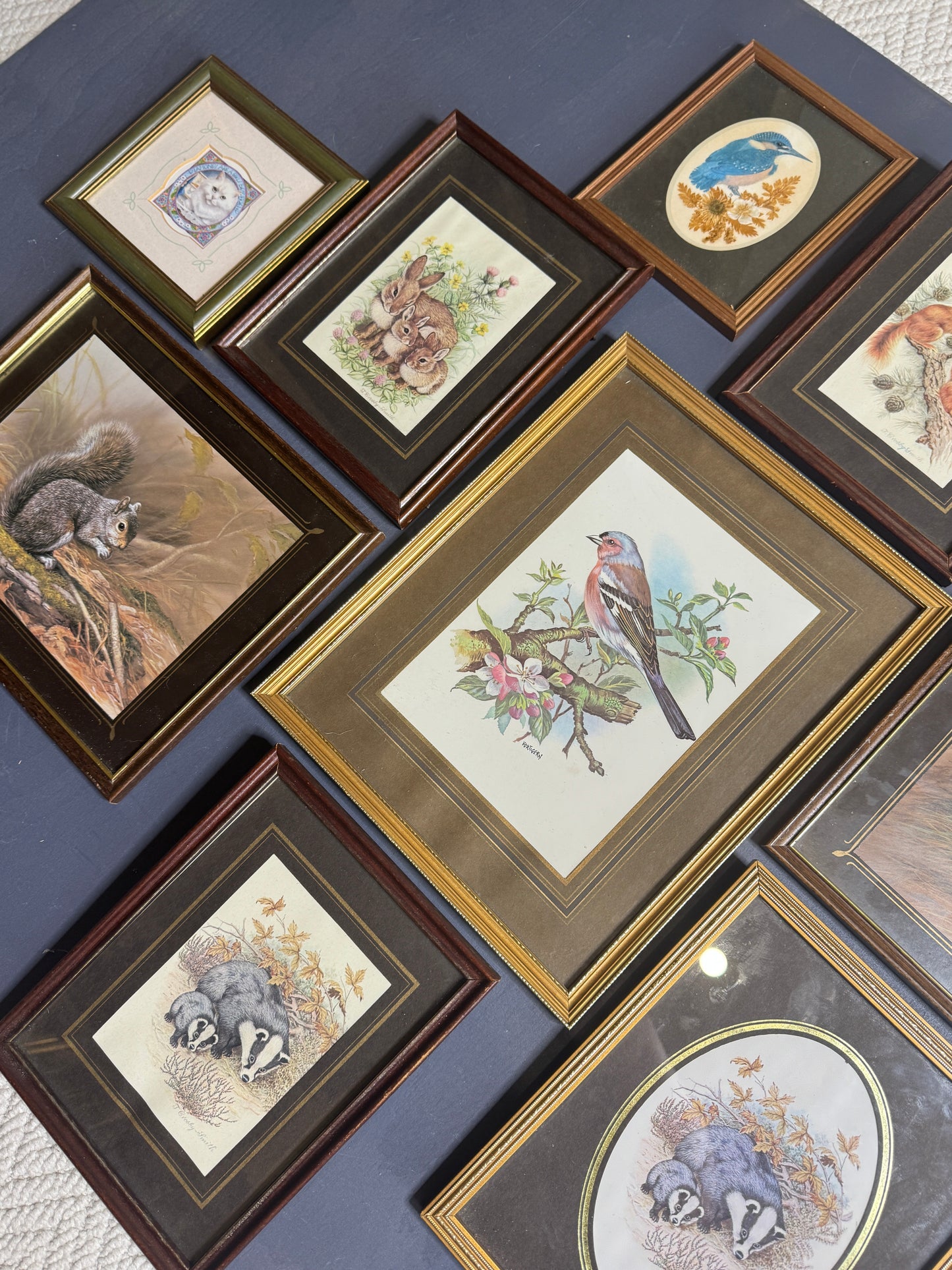 Vintage Gallery Wall Set: Regal Woodland Vintage Frame Series