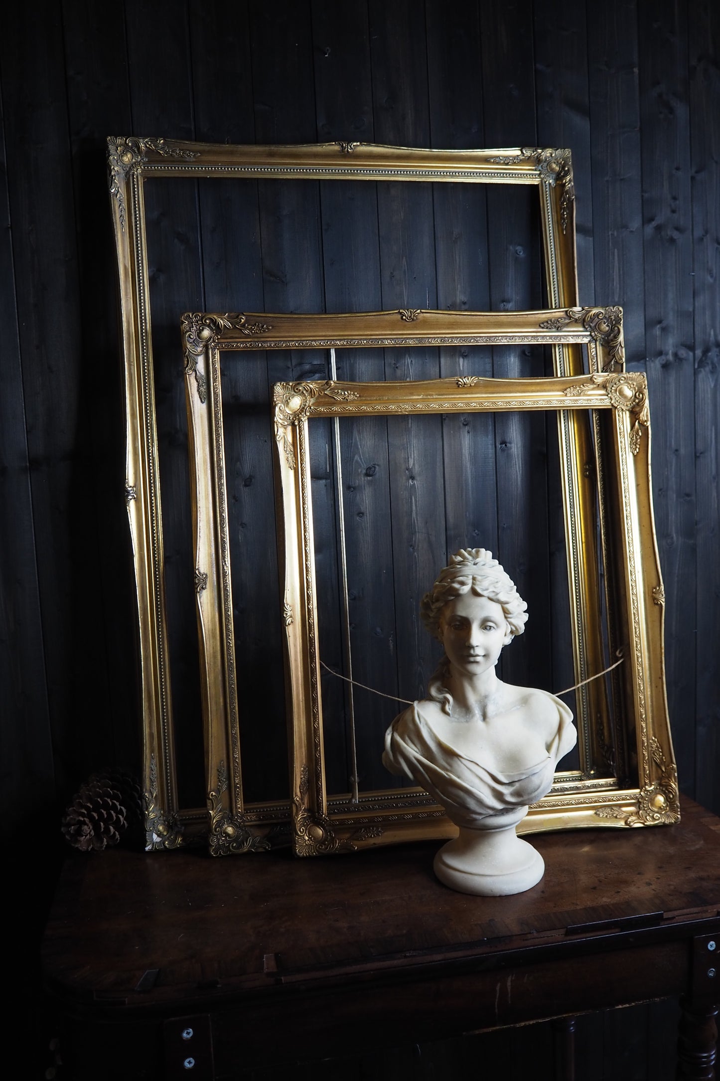 The Sorélle – Vintage Gold Louis Style Ornate Frame XL Collection