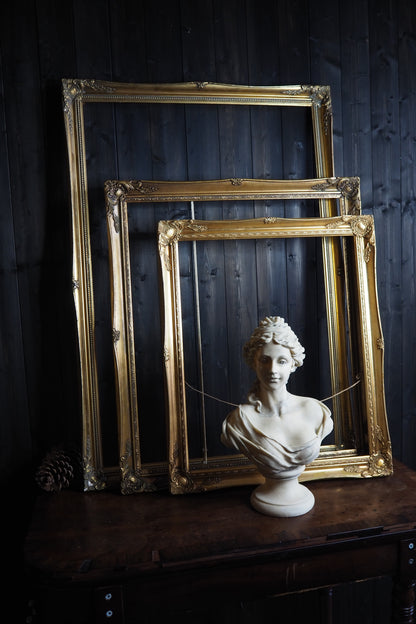 The Sorélle – Vintage Gold Louis Style Ornate Frame XL Collection