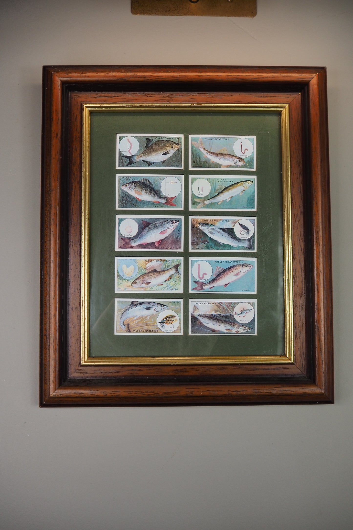 Mounted Collection of Wills Cigarette Cards in Wooden Frame