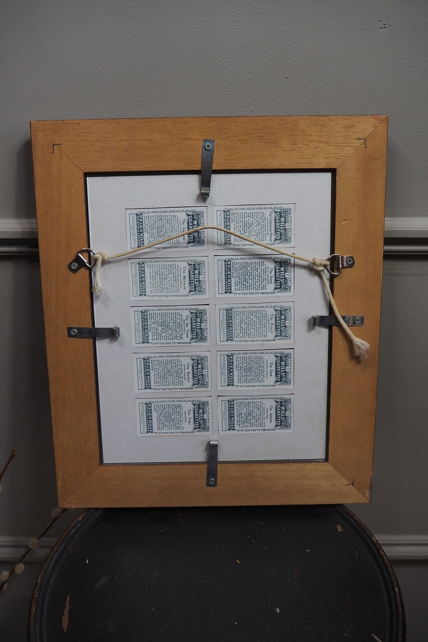 Mounted Collection of Wills Cigarette Cards in Wooden Frame