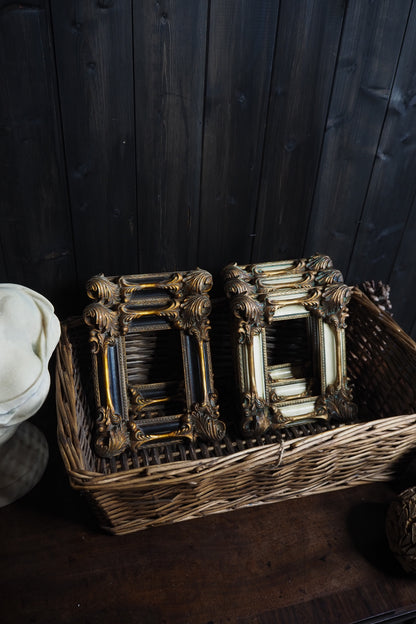 The D'Aubigny – Vintage Heavy Resin Baroque Picture Frames | Ornate Gold ,Black & White