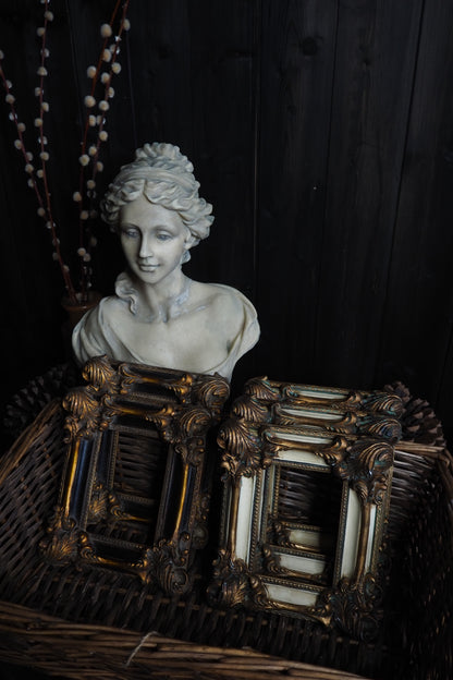 The D'Aubigny – Vintage Heavy Resin Baroque Picture Frames | Ornate Gold ,Black & White