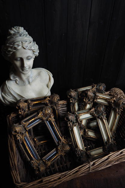 The D'Aubigny – Vintage Heavy Resin Baroque Picture Frames | Ornate Gold ,Black & White
