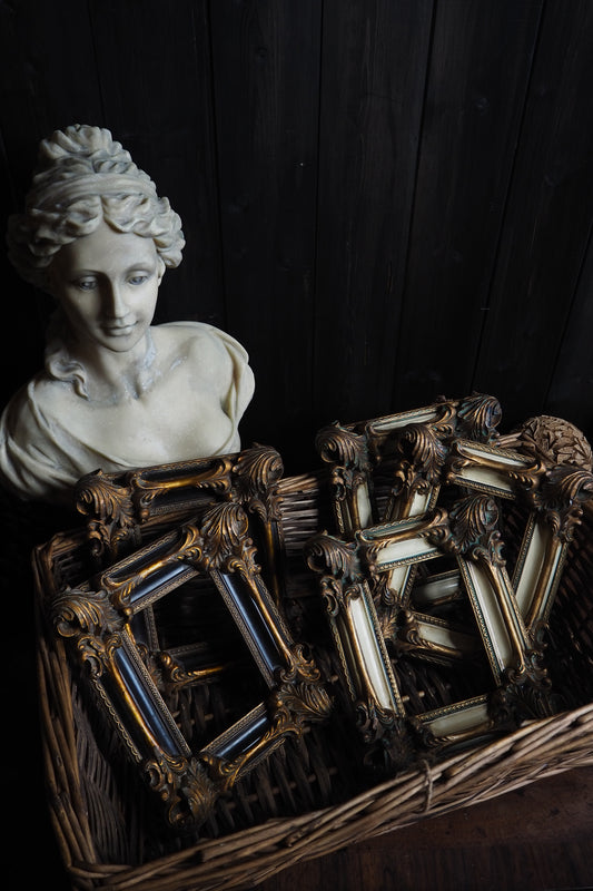The D'Aubigny – Vintage Heavy Resin Baroque Picture Frames | Ornate Gold ,Black & White