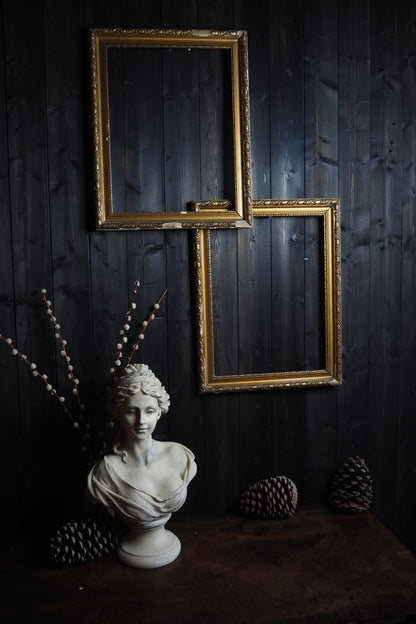 The Classic Elegance  - Vintage Gold Gilt Frame Pair