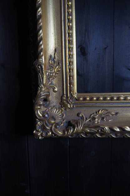 The Czech Royalty - Vintage Gold Chippendale Frame Collection A