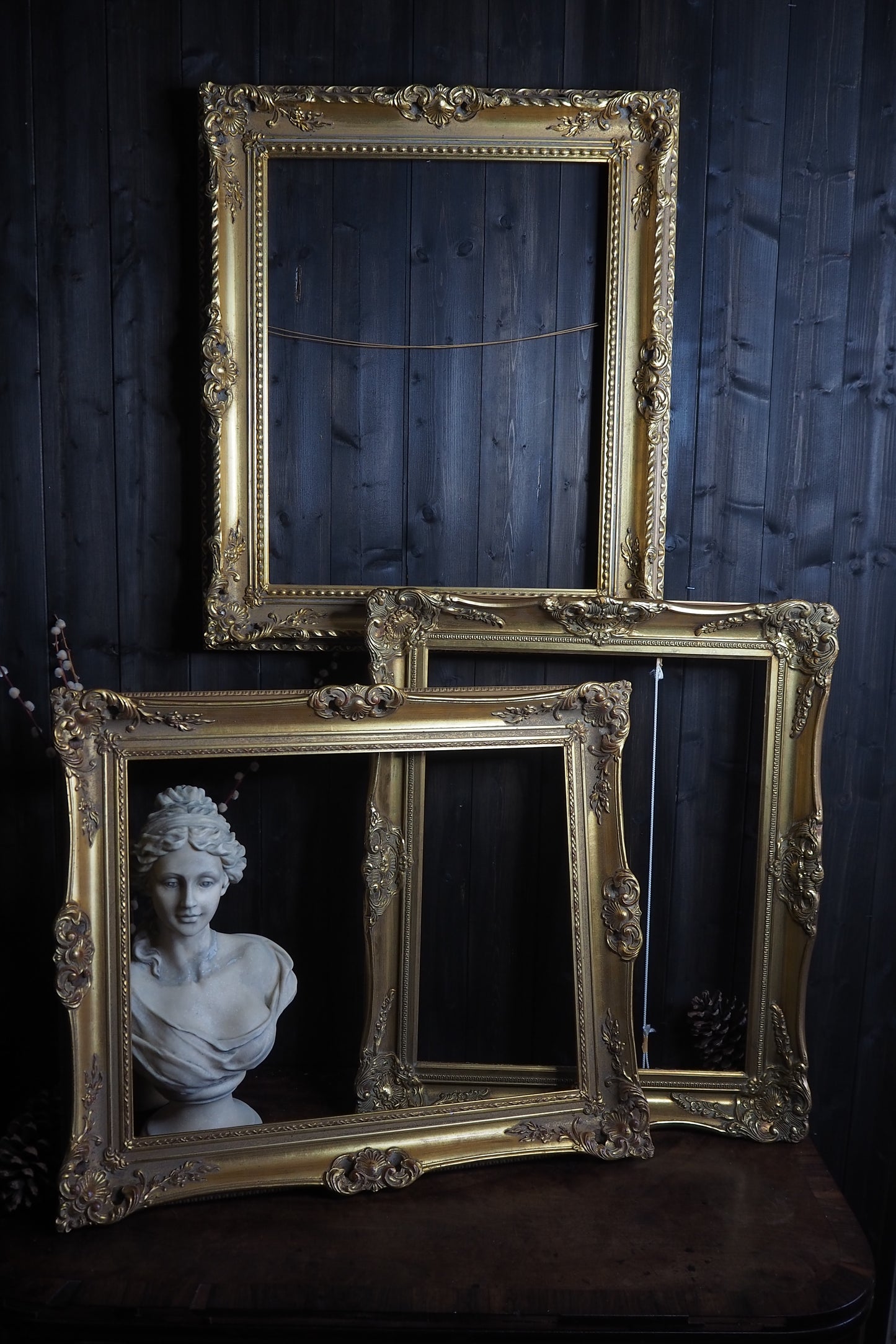 The Czech Royalty - Vintage Gold Chippendale Frame Collection C