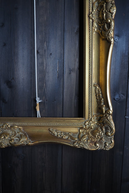 The Czech Royalty - Vintage Gold Chippendale Frame Collection B