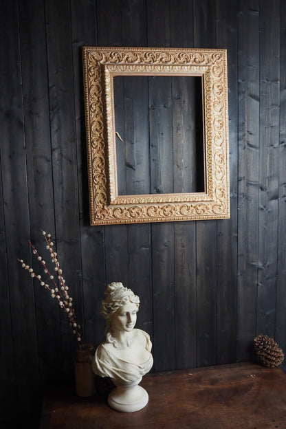 The Colmar -Vintage Light Pink & Beige Dusted French Chic-Style Ornate Frame