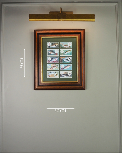 Mounted Collection of Wills Cigarette Cards in Wooden Frame