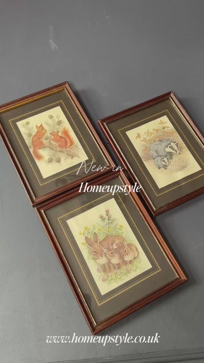 Wild Whimsy – Vintage Animal Gallery Set in Matching Frames