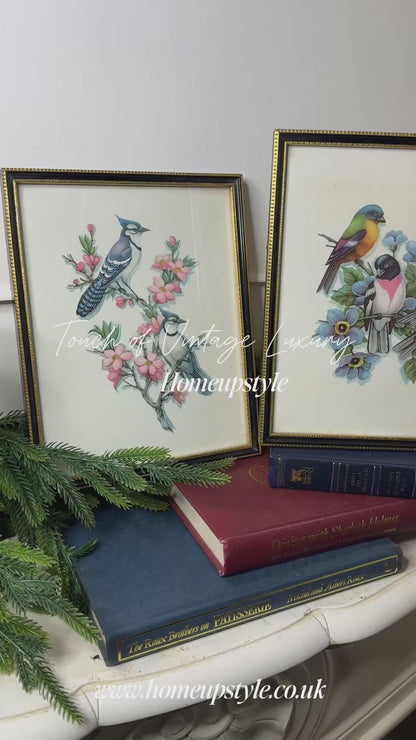 Wings of Elegance – Pair of Vintage Bird Prints